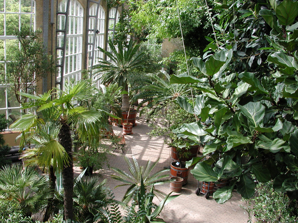 hortus palm house