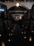 cellar in Ramos-Pinto