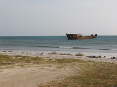 shipwreck off palm beach