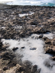 salt deposits from sea spray