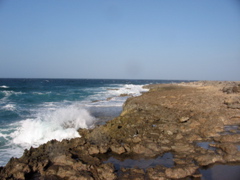 north coast of Aruba