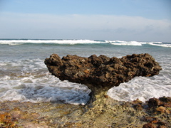 rock undermined by the waves