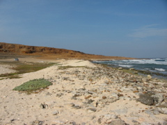 easternmost point on Aruba