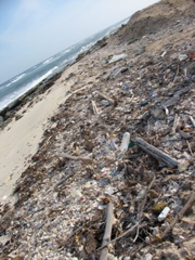 tons of plastic and wood washed up onto the shore here