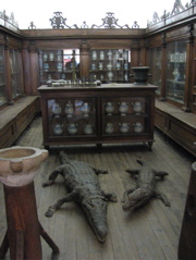 Aligators in an apothecary shop recreation?  Ummm... sure...