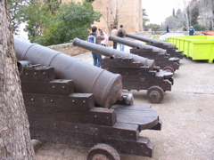 cannons keep the construction dumpster safe...