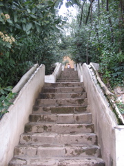 water stairway (fountains running down the railing)