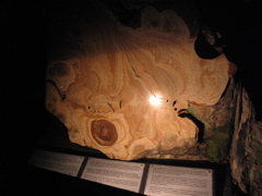 stalactite cross-section